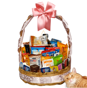 Cesta De Cafe Da Manhã 40 Itens Presente Aniversario Linda Dia das Mães